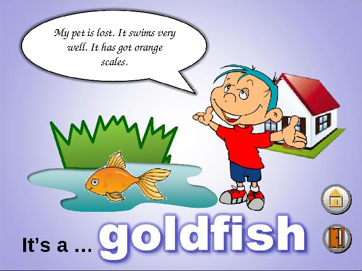 My pet is lost. It swims very well. It has got orange scales. It’s a …