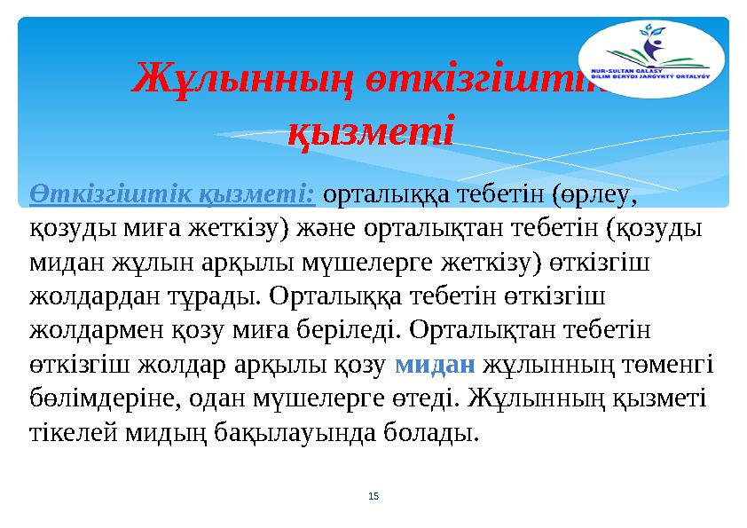 Жұлынның өткізгіштік қызметі 15 Өткізгіштік қызметі: орталыққа тебетін (өрлеу, қозуды миға жеткізу) және орталықтан тебетін