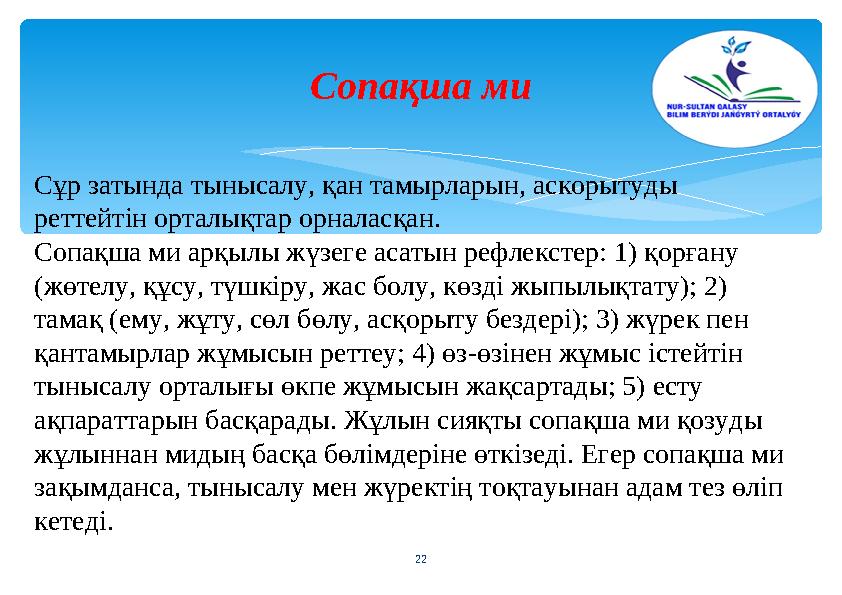 Сопақша ми 22 Сұр затында тынысалу, қан тамырларын, аскорытуды реттейтін орталықтар орналасқан. Сопақша ми арқылы жүзеге аса