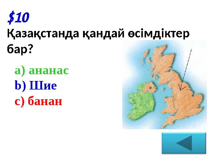 $10 Қазақстанда қандай өсімдіктер бар ? a) ананас b) Шие c) банан