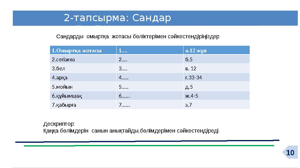 102-тапсырма: Сандар сөйлейді Сандарды омыртқа жотасы бөліктерімен сәйкестендіріңіздер 1.Омыртқа жотасы 1.... а.12 жұп 2.сег