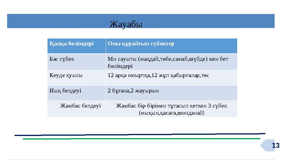 13Жауабы Қаңқа бөлімдері Оны құрайтын сүйектер Бас сүйек Ми сауыты (маңдай,төбе,самай,шүйде) мен бет бөлімдері Кеуде қуысы 12 а