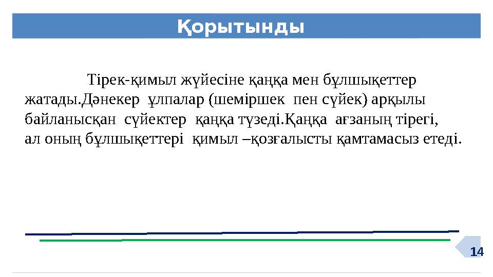 14Қорытынды Тірек-қимыл жүйесіне қаңқа мен бұлшықеттер жатады.Дәнекер ұлпалар (шеміршек пен сүйек) арқылы