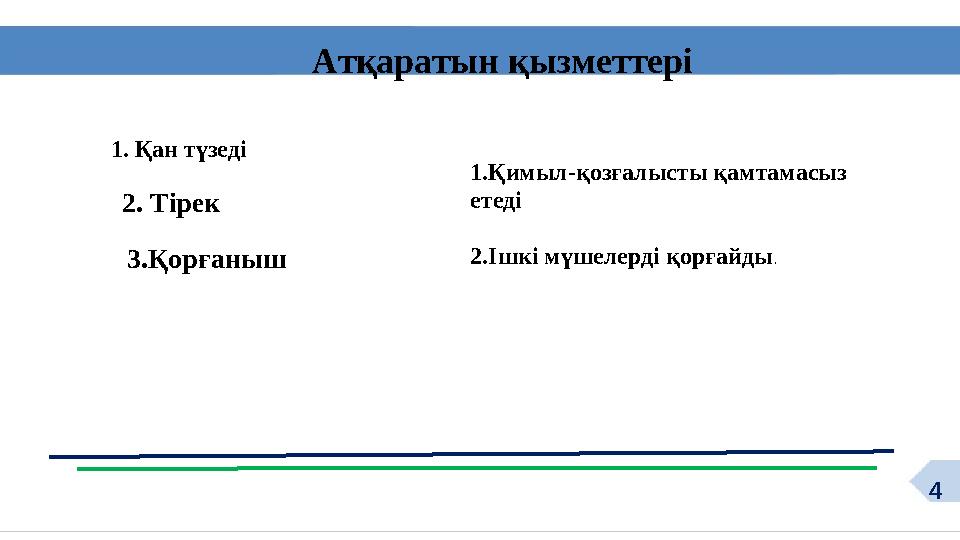 4 Атқаратын қызметтері 1. Қан түзеді 2. Тірек 3.Қорғаныш 1.Қимыл-қозғалысты қамтамасыз етеді 2.Ішкі мүшелерді қорғ