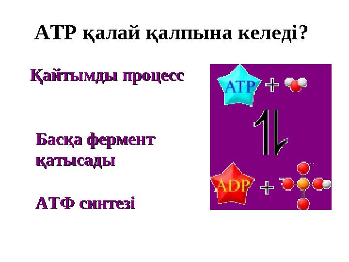ATP қалай қалпына келеді ? Қайтымды процессҚайтымды процесс Басқа фермент Басқа фермент қатысадықатысады АТФ синтезіАТФ синтез