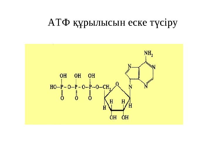 АТФ құрылысын еске түсіру