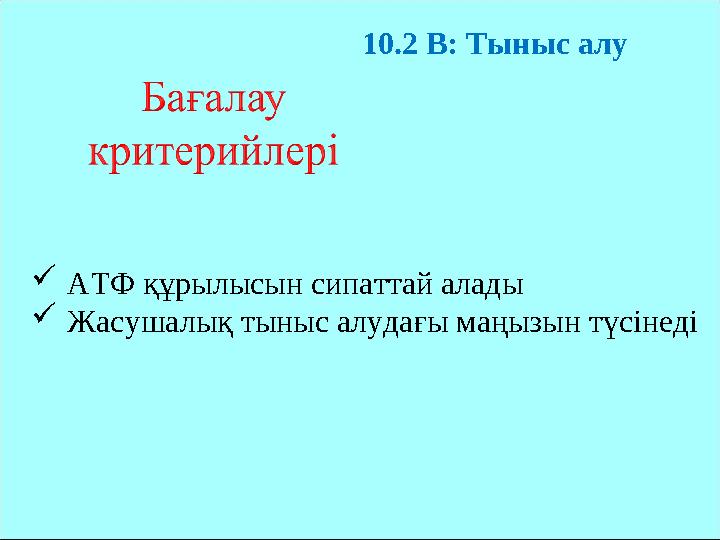 10.2 В: Тыныс алу АТФ құрылысын сипаттай алады Жасушалық тыныс алудағы маңызын түсінеді