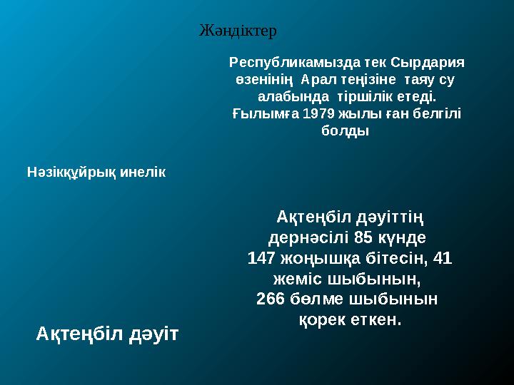 Нәзікқұйрық инелік Республикамызда тек Сырдария өзенінің Арал теңізіне таяу су алабында тіршілік етеді. Ғылымға 1979 жылы ға