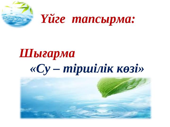 Үйге тапсырма: Шығарма «Су – тіршілік көзі»