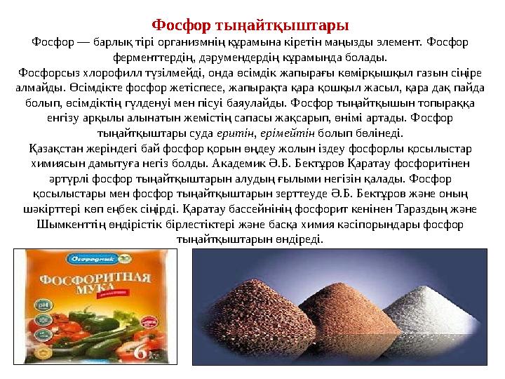 Фосфор тыңайтқыштары Фосфор — барлық тірі организмнің құрамына кіретін маңызды элемент. Фосфор ферменттердің, дәрумендердің кұр