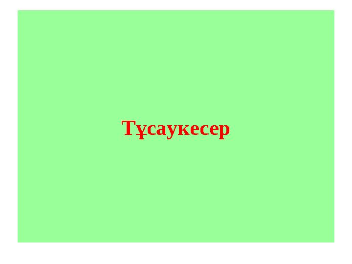 Тұсаукесер