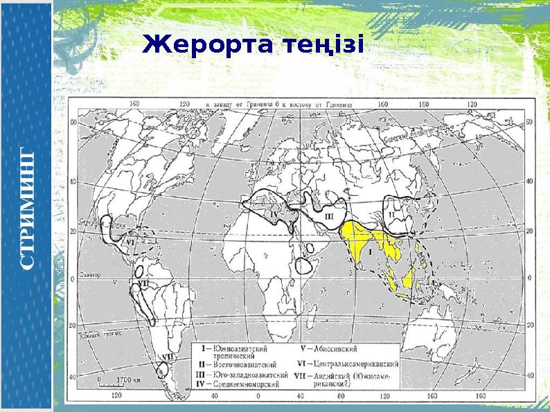 Жерорта теңізі