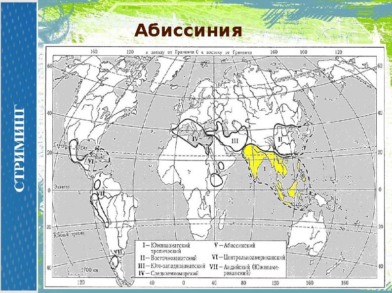 Абиссиния