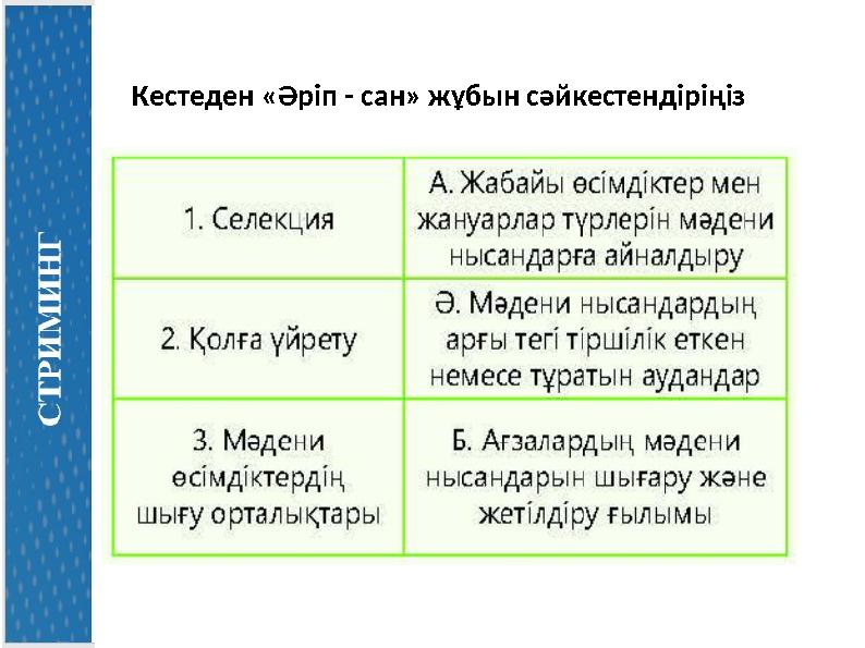 Кестеден «Әріп - сан» жұбын сәйкестендіріңіз