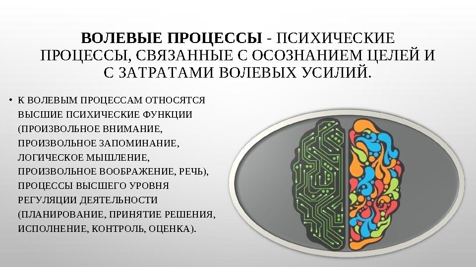 ВОЛЕВЫЕ ПРОЦЕССЫ - ПСИХИЧЕСКИЕ ПРОЦЕССЫ, СВЯЗАННЫЕ С ОСОЗНАНИЕМ ЦЕЛЕЙ И С ЗАТРАТАМИ ВОЛЕВЫХ УСИЛИЙ. •К ВОЛЕВЫМ ПРОЦЕССАМ ОТНО