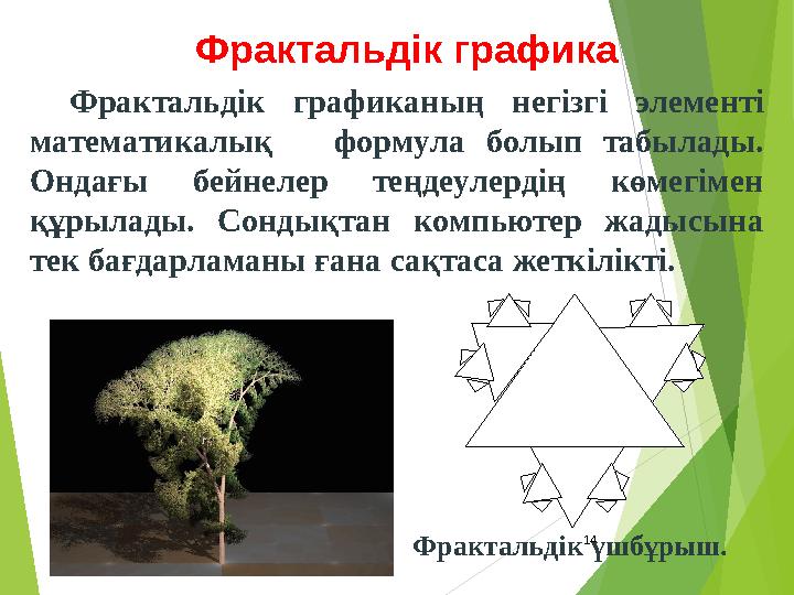 14 Фрактальдік графика Фрактальдік графиканың негізгі элементі математикалық формула болып табылады. Ондағы бейнелер