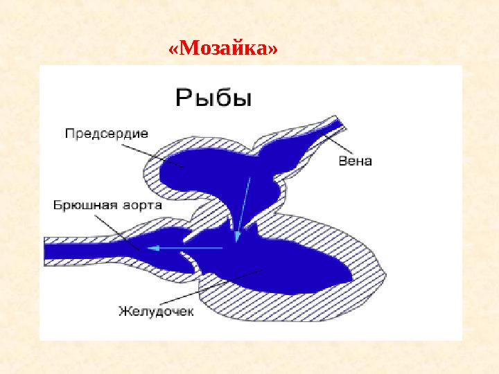 «Мозайка»