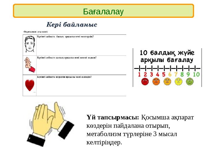 Бағалалау Үй тапсырмасы: Қосымша ақпарат көздерін пайдалана отырып, метаболизм түрлеріне 3 мысал келтіріңдер.