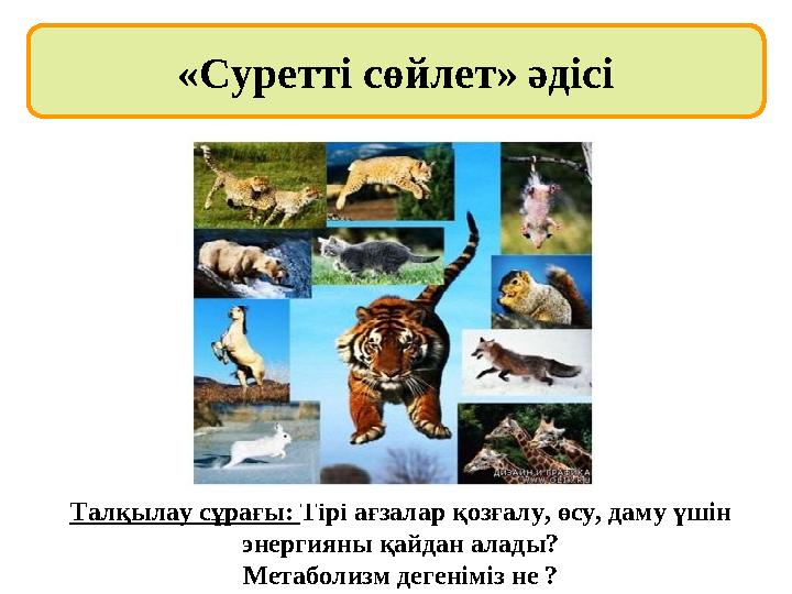 «Суретті сөйлет» әдісі Талқылау сұрағы: Тірі ағзалар қозғалу, өсу, даму үшін энергияны қайдан алады? Метаболизм дегеніміз не ?