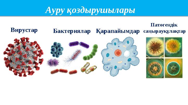 Ауру қоздырушылары Вирустар БактерияларҚарапайымдар Патогендік саңырауқұлақтар