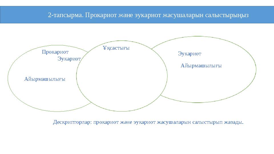 Айырмашылығы Айырмашылығы Прокариот Эукариот Дескрипторлар: прокариот және эукариот жасушаларын са