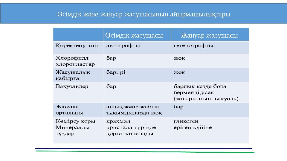 Өсімдік және жануар жасушасының айырмашылықтары Өсімдік жасушасы Жануар жасушасы