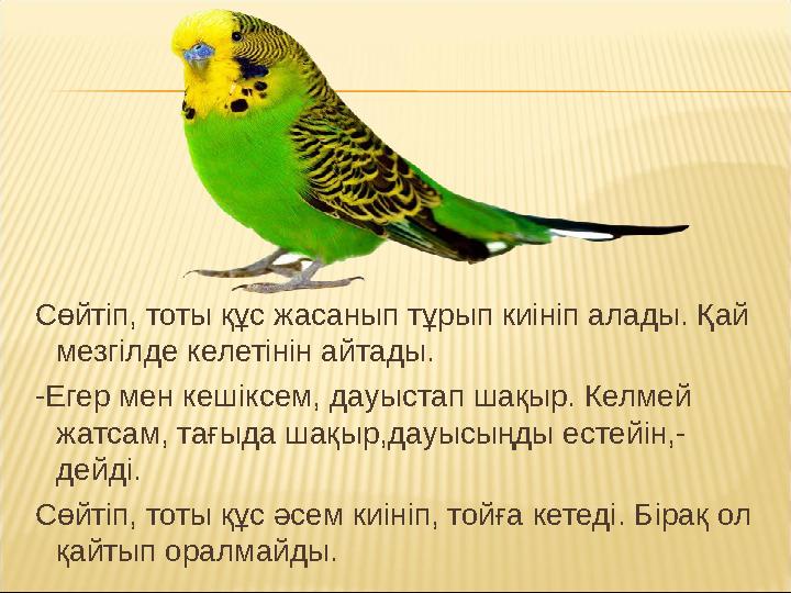 Сөйтіп, тоты құс жасанып тұрып киініп алады. Қай мезгілде келетінін айтады. -Егер мен кешіксем, дауыстап шақыр. Келмей жатс