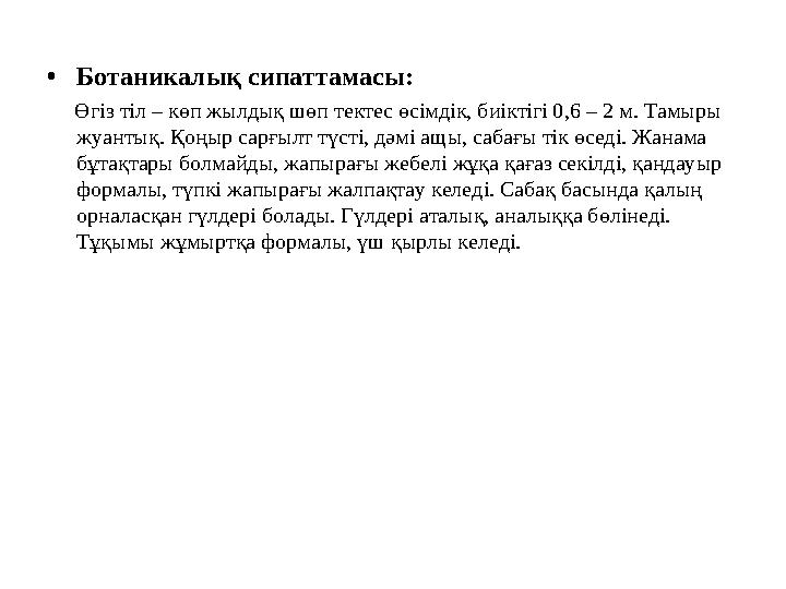 •Ботаникалық сипаттамасы: Өгіз тіл – көп жылдық шөп тектес өсімдік, биіктігі 0,6 – 2 м. Тамыры жуантық. Қоңыр сарғылт түст