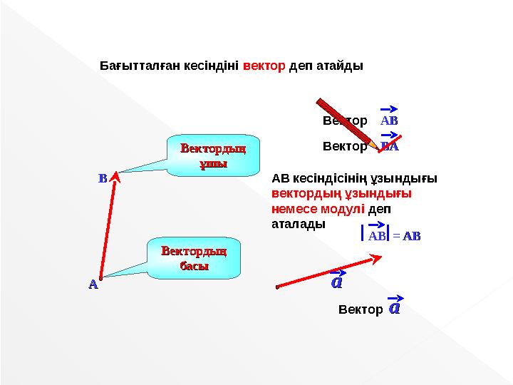 АВ кесіндісінің ұзындығы вектордың ұзындығы немесе модулі деп аталады ВАВАВектор Бағытталған кесіндіні вектор деп ата