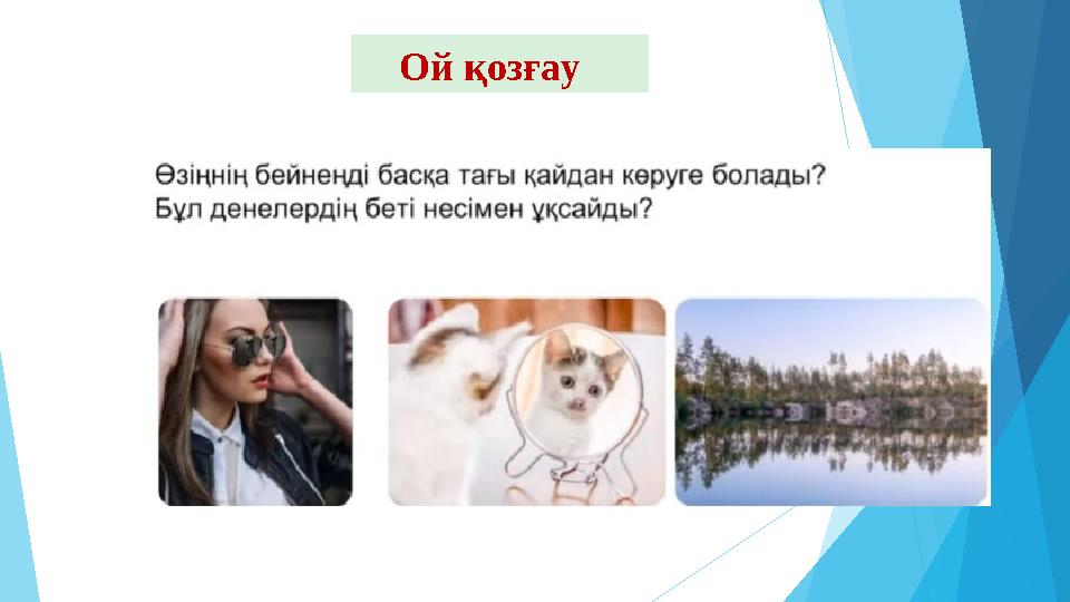 Эксперимент Ой қозғау