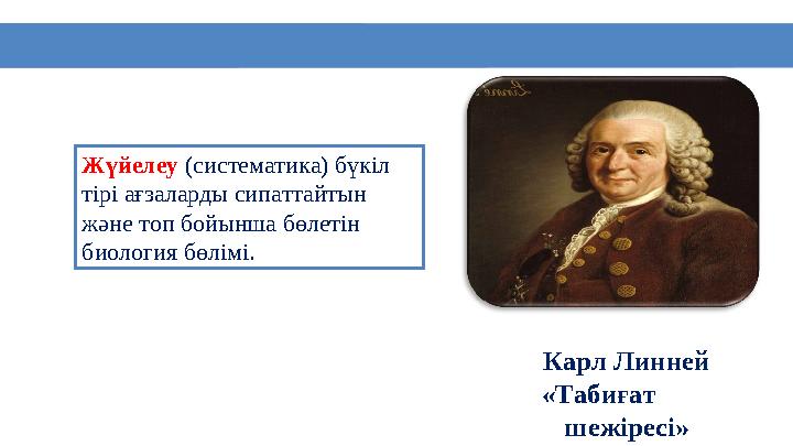 2 Жүйелеу (систематика) бүкіл тірі ағзаларды сипаттайтын және топ бойынша бөлетін биология бөлімі. Карл Линней «Табиғат