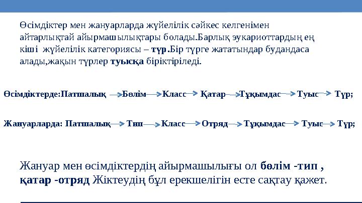 7 Өсімдіктер мен жануарларда жүйелілік сәйкес келгенімен айтарлықтай айырмашылықтары болады.Барлық эукариоттардың ең кіші жүй