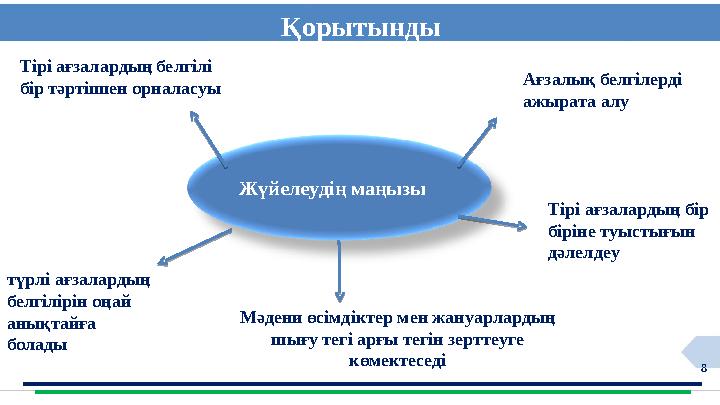 8 Тірі ағзалардың белгілі бір тәртіппен орналасуы Ағзалық белгілерді ажырата алу түрлі ағзалардың белгілірін оңай анықтайға