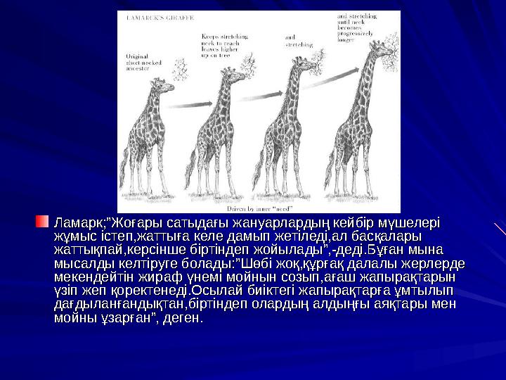 Ламарк;”Жоғары сатыдағы жануарлардың кейбір мүшелері Ламарк;”Жоғары сатыдағы жануарлардың кейбір мүшелері жұмыс істеп,жаттыға к
