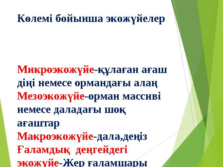 Көлемі бойынша экожүйелер Микроэкожүйе-құлаған ағаш діңі немесе ормандағы алаң Мезоэкожүйе-орман массиві немесе далад