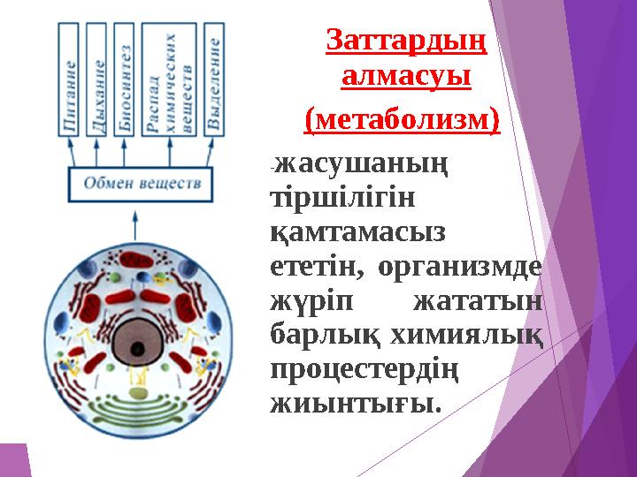 Заттардың алмасуы (метаболизм) -жасушаның тіршілігін қамтамасыз ететін, организмде жүріп жататын барлық химиялы