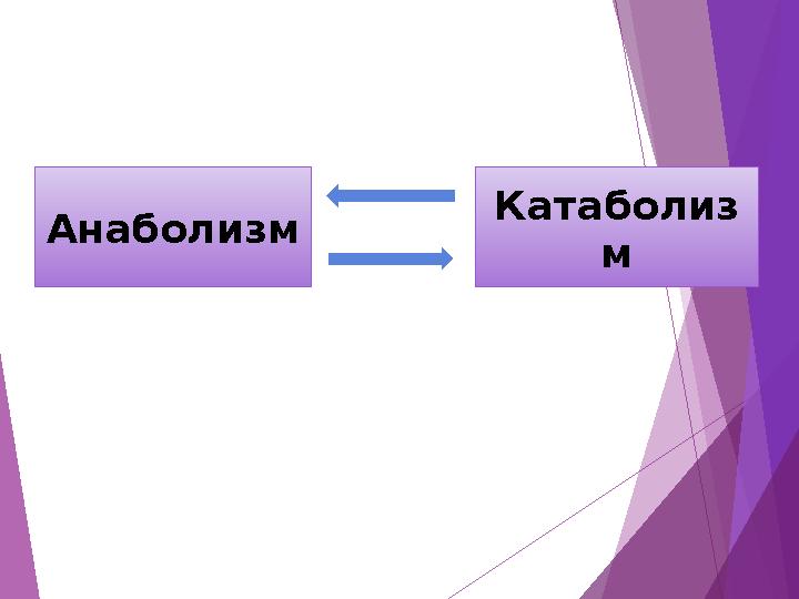 Анаболизм Катаболиз м