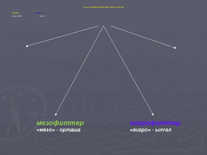 Суға қатынасы бойынша өсімдіктердің экологиялық топтары ксерофиттерксерофиттер