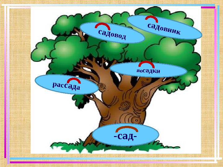 рассада посадки садовод садовник -сад-