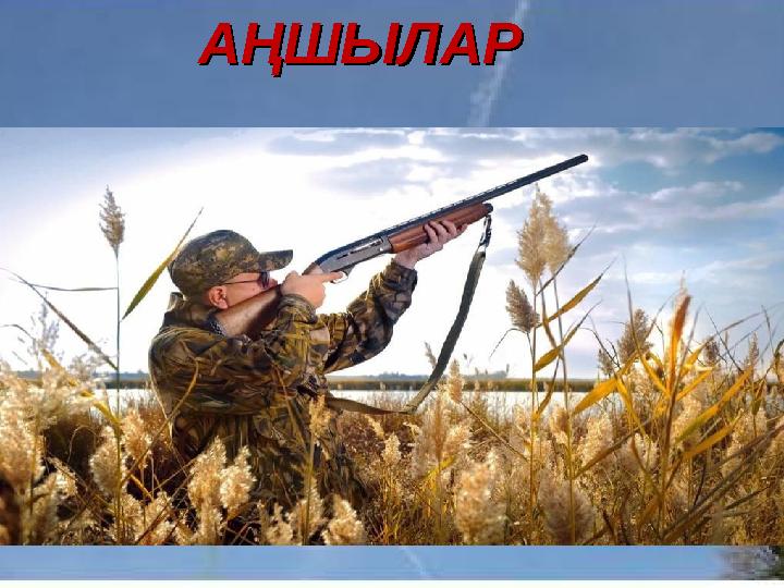 АҢШЫЛАРАҢШЫЛАР