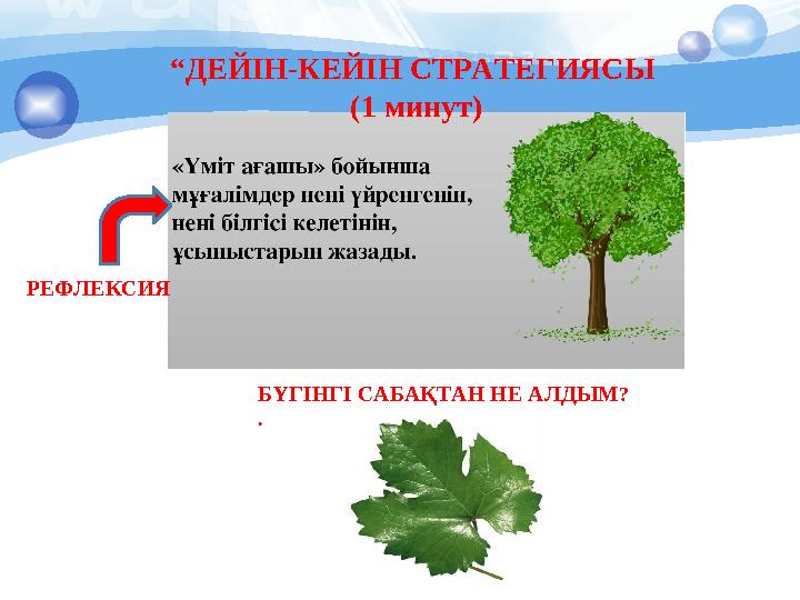 “ДЕЙІН-КЕЙІН СТРАТЕГИЯСЫ (1 минут) РЕФЛЕКСИЯ БҮГІНГІ САБАҚТАН НЕ АЛДЫМ ? .