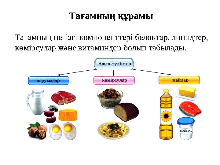 Тағамның негізгі компоненттері белоктар, липидтер, көмірсулар және витаминдер болып табылады. Тағамның құрамы