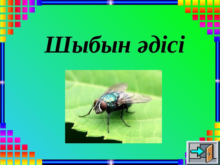 Шыбын әдісі