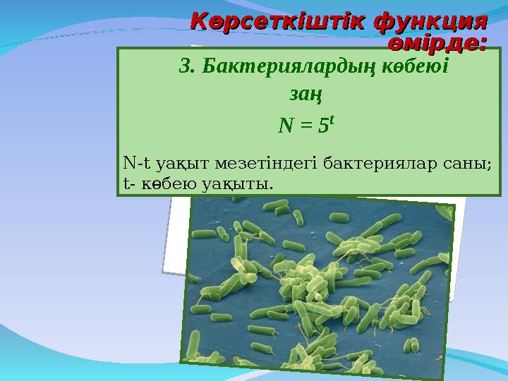 3. Бактериялардың көбеюі заң N = 5 t N-t уақыт мезетіндегі бактериялар саны; t- көбею уақыты. Көрсеткіштік функция Көрсет