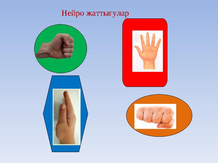 Нейро жаттығулар