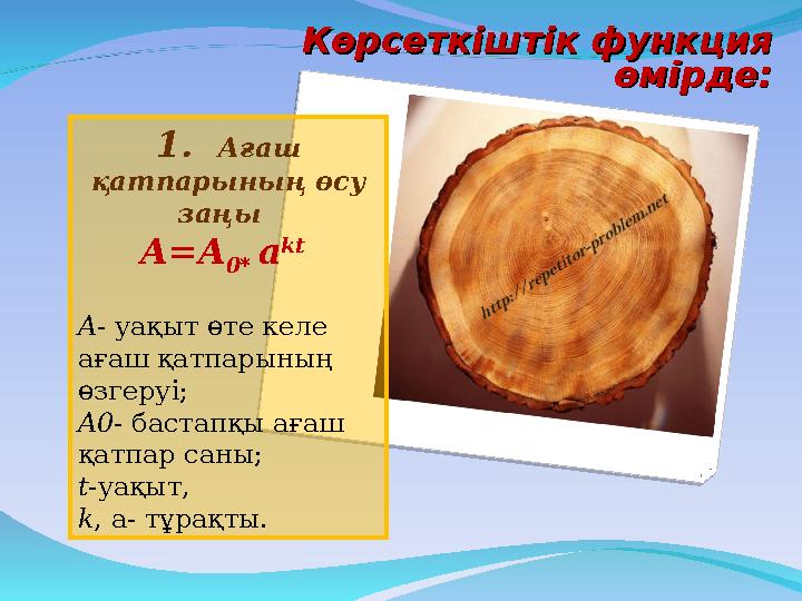1. Ағаш қатпарының өсу заңы A=A 0* a kt A- уақыт өте келе ағаш қатпарының өзгеруі; A0- бастапқы ағаш қатпар саны;