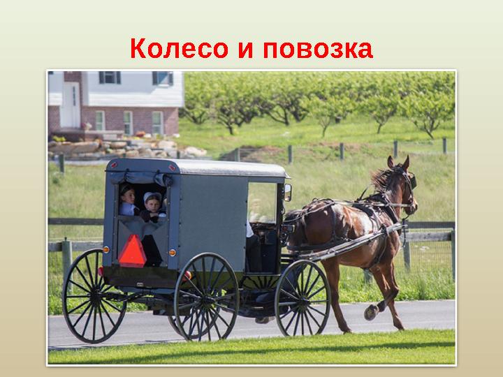 Колесо и повозка Изобретя колесо, человечество получило удобный способ передвижения. Люди стали заселять и осваивать новые зе