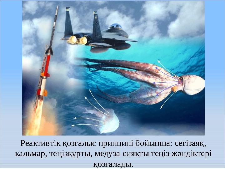 Реактивтік қозғалыс принципі бойынша: сегізаяқ, кальмар, теңізқұрты, медуза сияқты теңіз жәндіктері қозғалады.