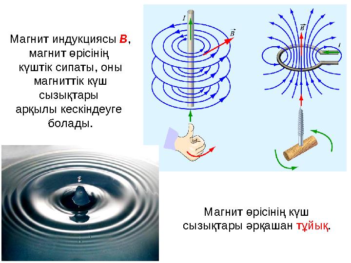 Магнит индукциясы В, магнит өрісінің күштік сипаты, оны магниттік күш сызықтары арқылы кескіндеуге болады. Магнит өрісінің Магнит индукциясы В, магнит өрісінің күштік сипаты, оны магниттік күш сызықтары арқылы кескіндеуге болады. Магнит өрісінің