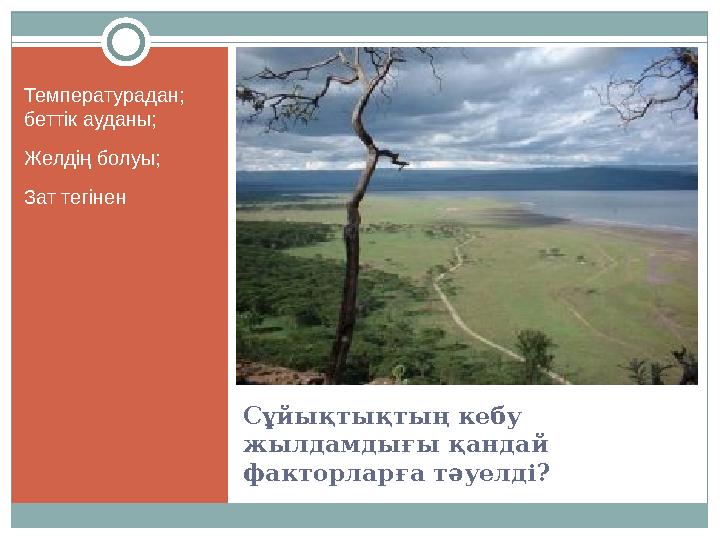 Сұйықтықтың кебу жылдамдығы қандай факторларға тәуелді ? Температурадан; беттік ауданы; Желдің болуы; Зат тегінен Сұйықтықтың кебу жылдамдығы қандай факторларға тәуелді ? Температурадан; беттік ауданы; Желдің болуы; Зат тегінен